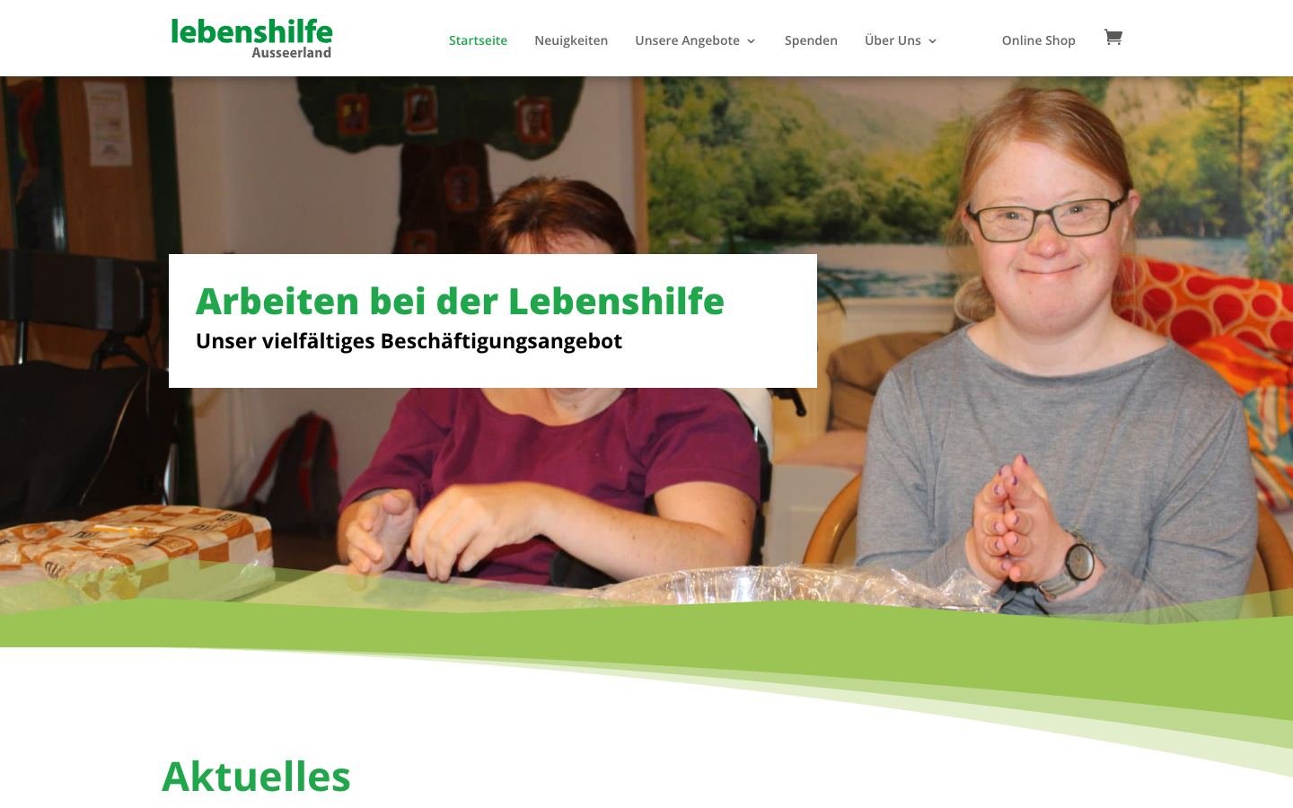 Website der Lebenshilfe Ausseerland – frühere Version